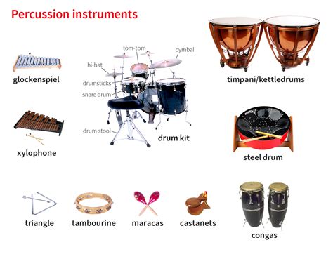 cymbal noun .
